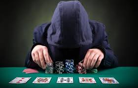 Image result for dewa poker